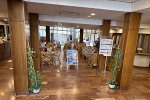 Galéria kép
